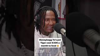 Moneybagg Yo’s pet Tiger cost $30k a month to feed