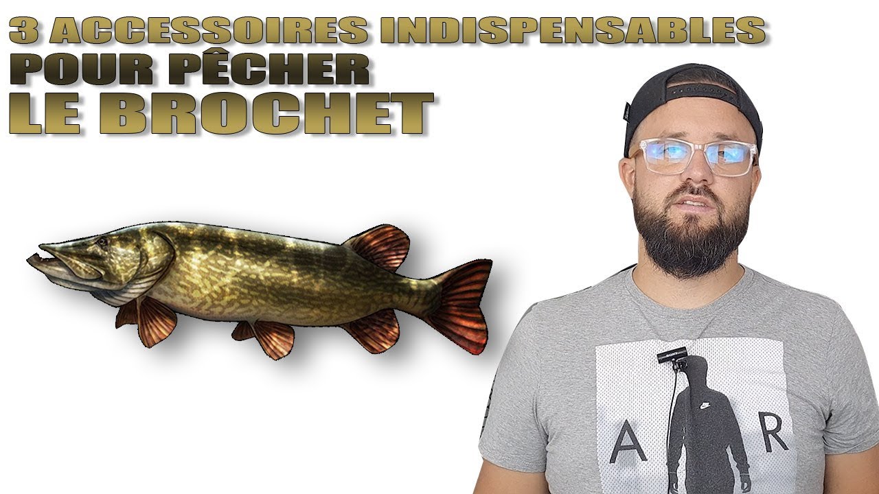 Boîte à Pêche Complète Pour Débutant - 2 Moulinets + Accessoires (État Neuf)