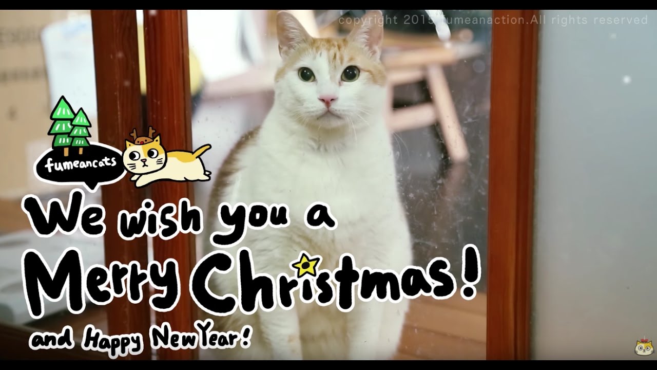 黃阿瑪的後宮生活-喵喵聖誕歌-fumeancats’ Merry Xmas&Happy New Year