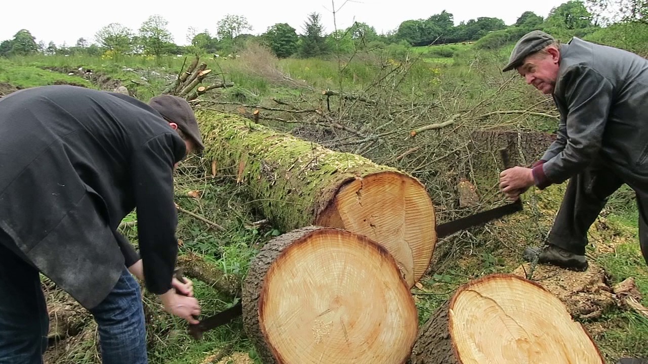 Crosscut Saw YouTube