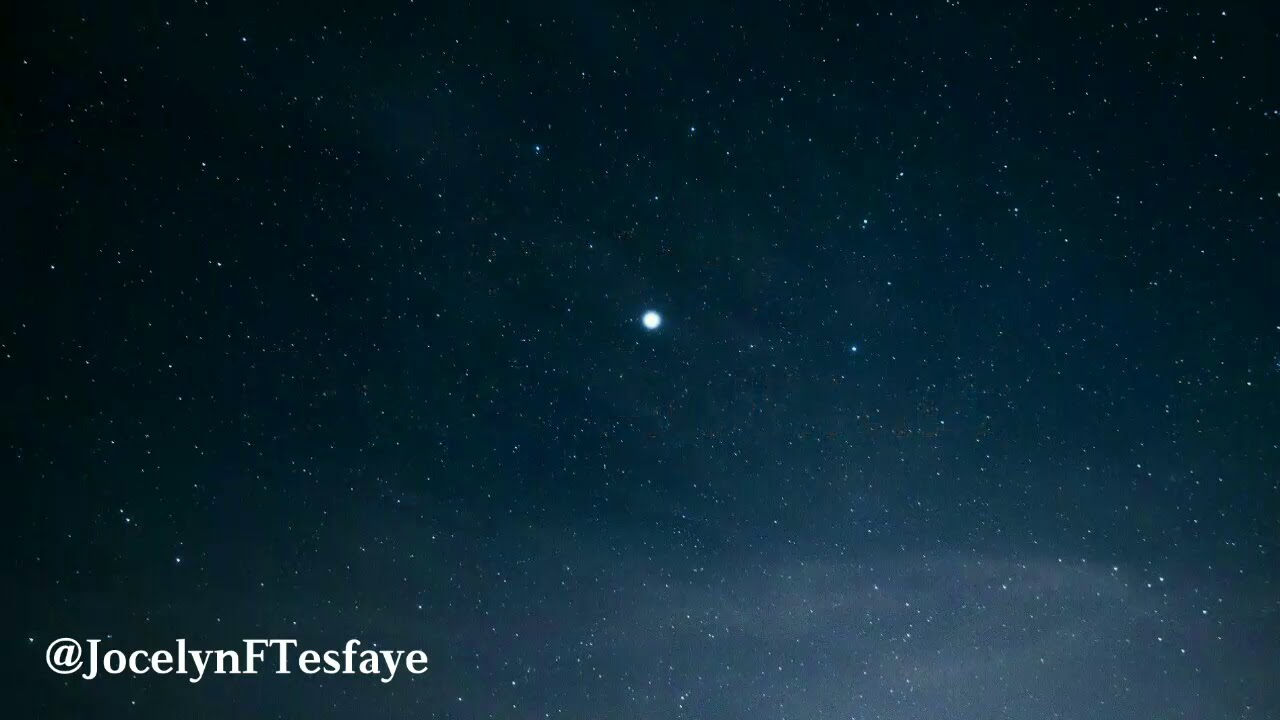 GooeyGlass Animals (Lyrics) YouTube