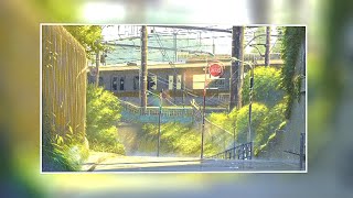 Thenian  You Left Me On Suicide Sunday