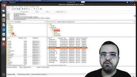 Como desativar as atualizações automáticas do Wordpress
