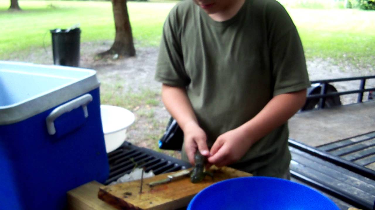 Cleaning frogs to eat YouTube