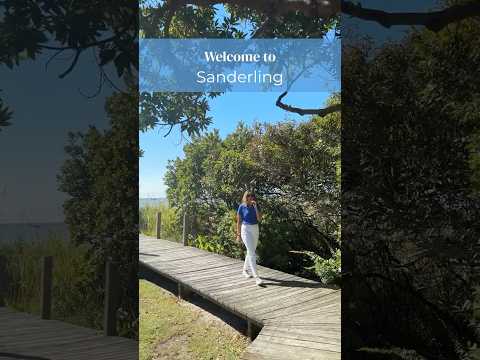 Sanderling (Community)