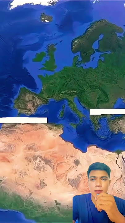 The longest tissue⁉️