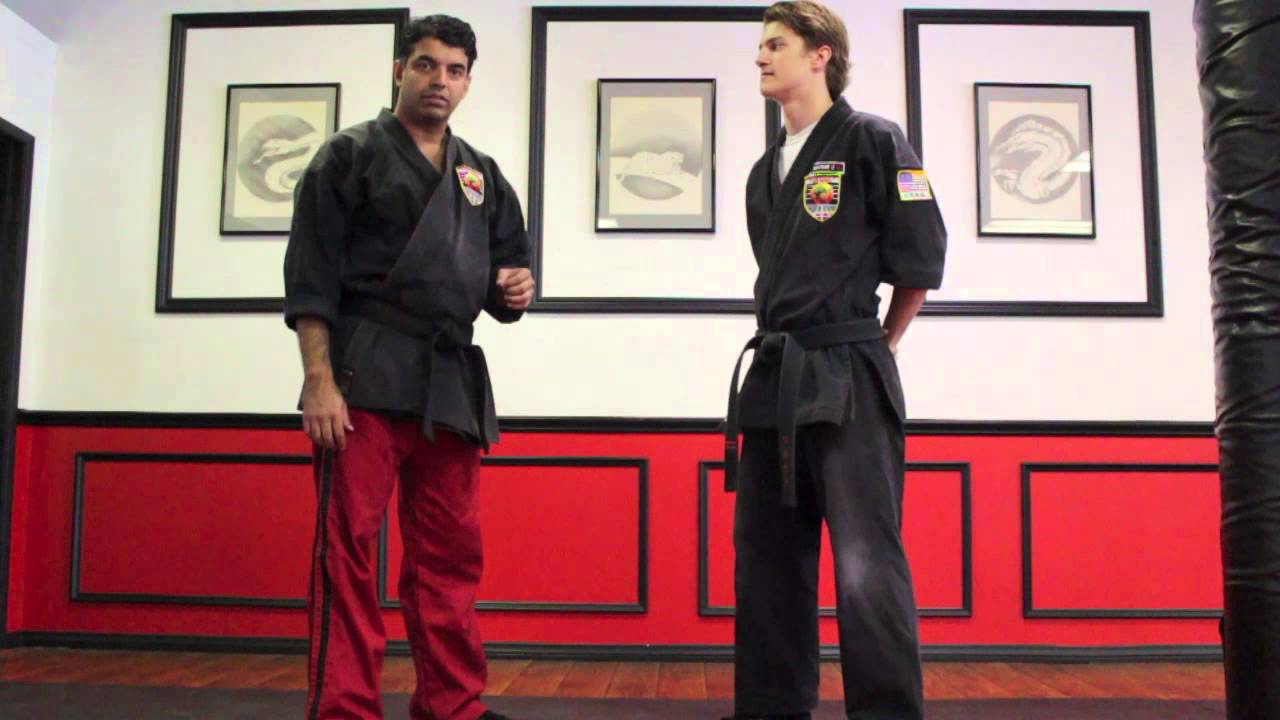 Self Defense: Defending Against Attacks using Leopard Style