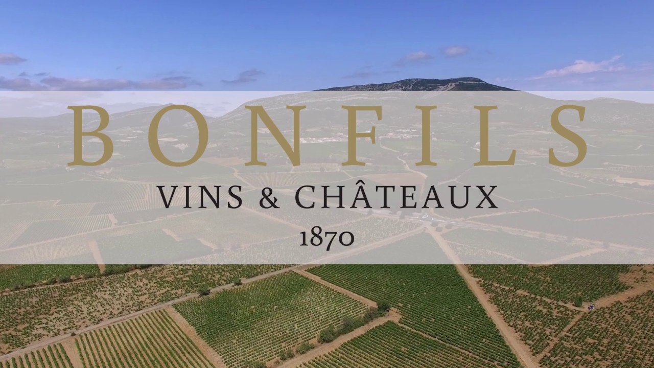 Vignobles Bonfils - Du cep au verre - YouTube