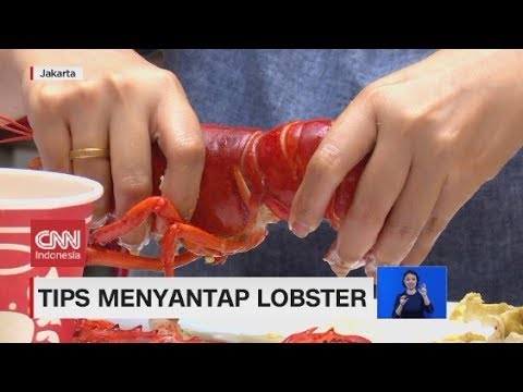 Tips Nikmat Menyantap Lobster