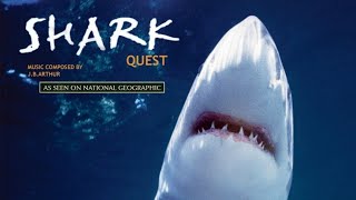 Shark Quest Soundtrack: Opening/Bird Brain against Shark Cunning by heathsharky 105 views 1 year ago 2 minutes, 46 seconds