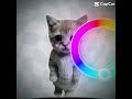 #cat #meme #fypシ #edit #tutorial #gaming
