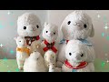 祝・8周年！　バウムクーヘンでお祝い♪
