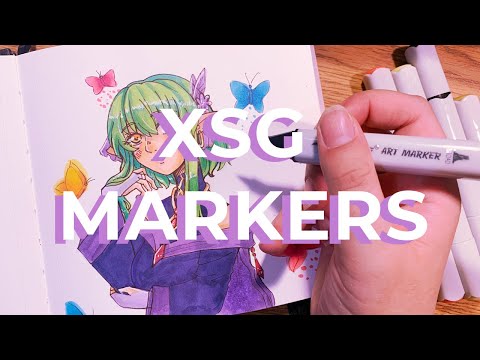  XSG Alcohol Brush Markers, 80 Colors Dual Tip Artist