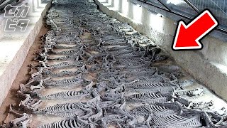 研究者も騒然の古代遺物１０選