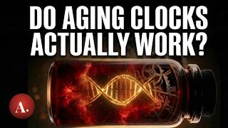 Do Aging Clocks Actually Work