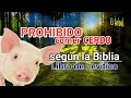 Prohibido comer Cerdo según la Biblia
