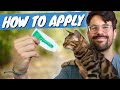 Tick Season Is Getting Worse - How to Apply Tick & Flea Prevention