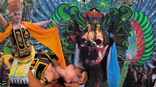 Detik detik Penari gandrung kesurupan!! Paju Barong Pecari Kuning Live Leces Gumuk. 