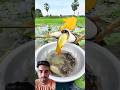 Machhali pakdane wala video 🐬😲 #shorts #fishing #machhali #shortsfeed #youtubeshorts #fishingvideo#s