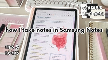 How I Take Notes in Samsung Notes ✏️🤍 Samsung Tablet Tips & Tricks for Students 🧸 +Free Templates