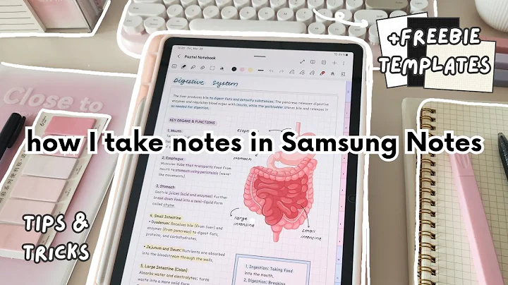 How I Take Notes in Samsung Notes ✏️🤍 Samsung Tablet Tips & Tricks for Students 🧸 +Free Templates