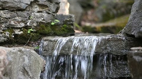 Nhạc thư giãn cùng tiếng suối chảy và tiếng chim hót cực hay
