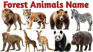 30 Forest Animals Name in English and Hindi | Jungle Animals for Kids