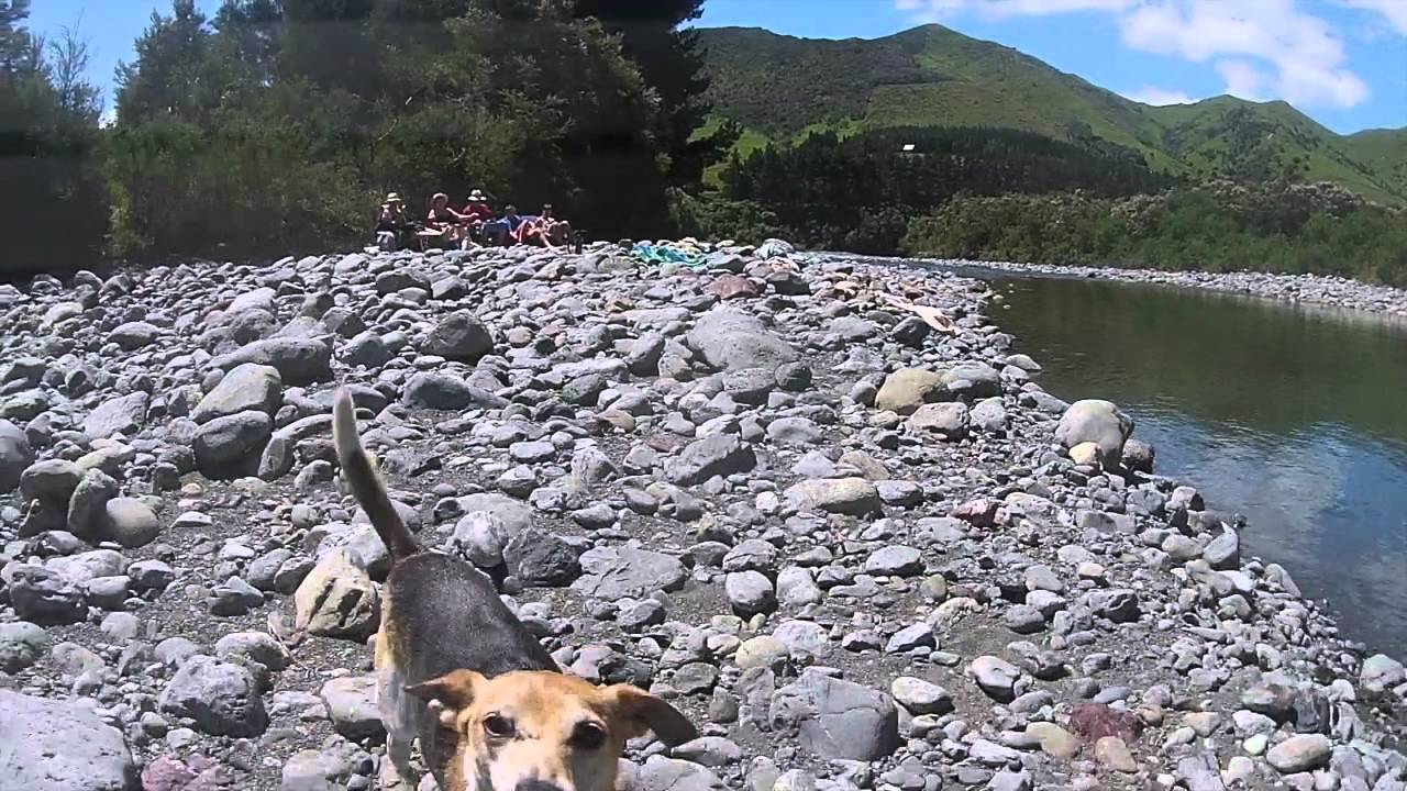 Chilling in the River 2015