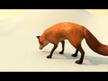 FoxTrait Maya
