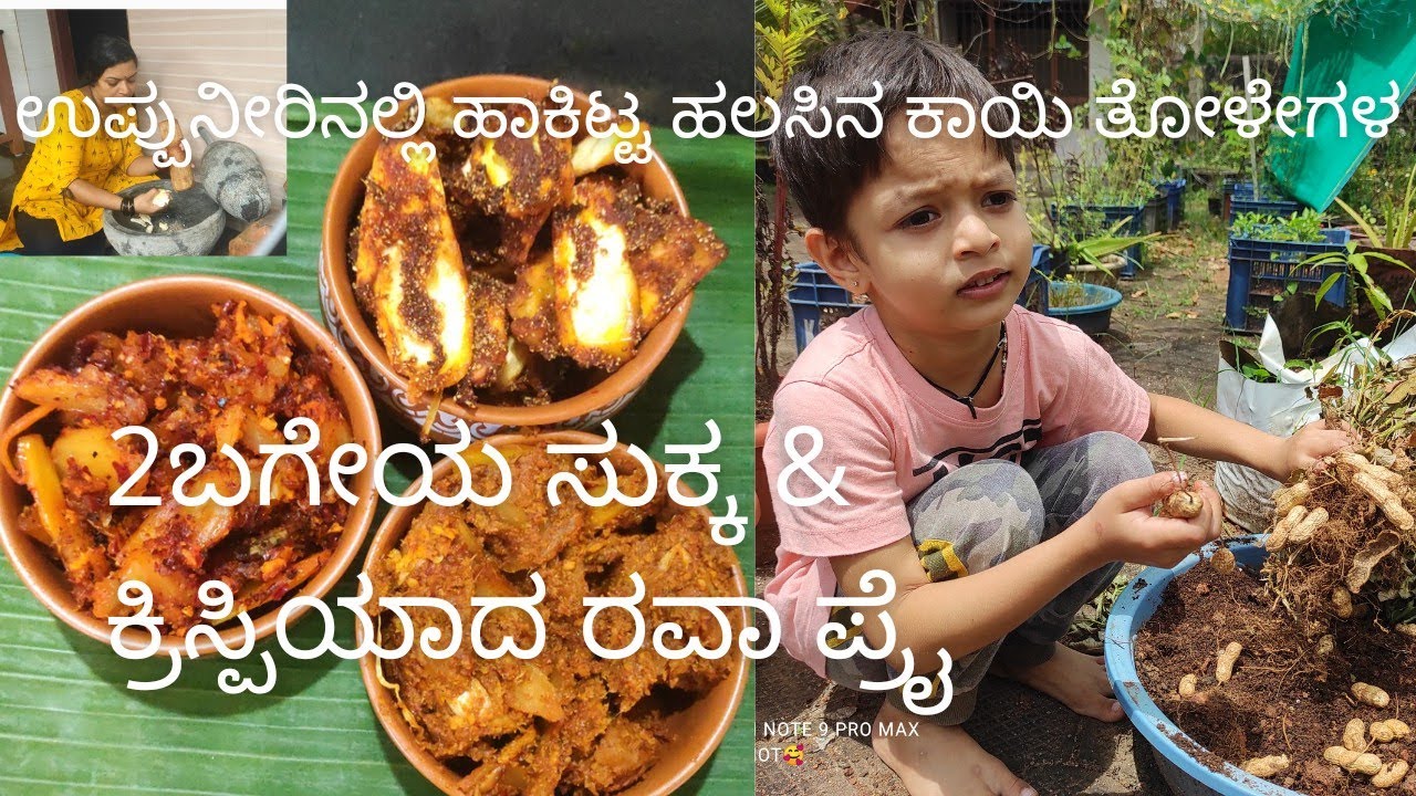 Salted jack fruit sukka and rawa fry... ##and my son's groundnut plants...