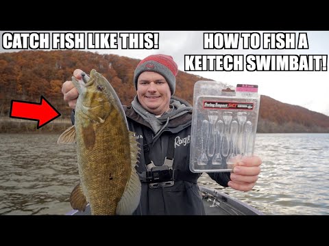 How to Fish the Keitech Swing Fat Impact! - How to fish finesse swimbaits 
