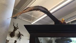 RISD Nature Lab Pt 1