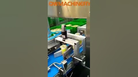 Delta Robot Pick And Place System