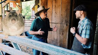 Joel Salatin Solves My RAT Problem