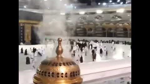 ان الله وملائكته يصلون على النبي 🌸🍃تلاوة هادئة ♡ ارح قلبك ❤️️ حالات واتس اب { ستوريات قرآن }