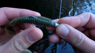 Canal Perch Fishing With Keitech Swing Impact 3.3inch