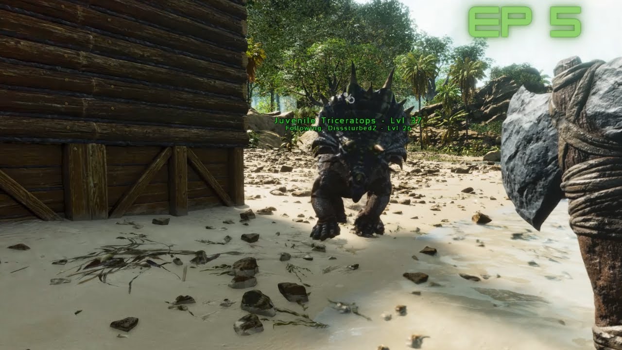 Ark Survival Ascended First Look Ep 5 Server Start - YouTube