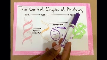 Breakthrough Junior Challenge 2020 | Neuroscience Surrounding Alzheimer