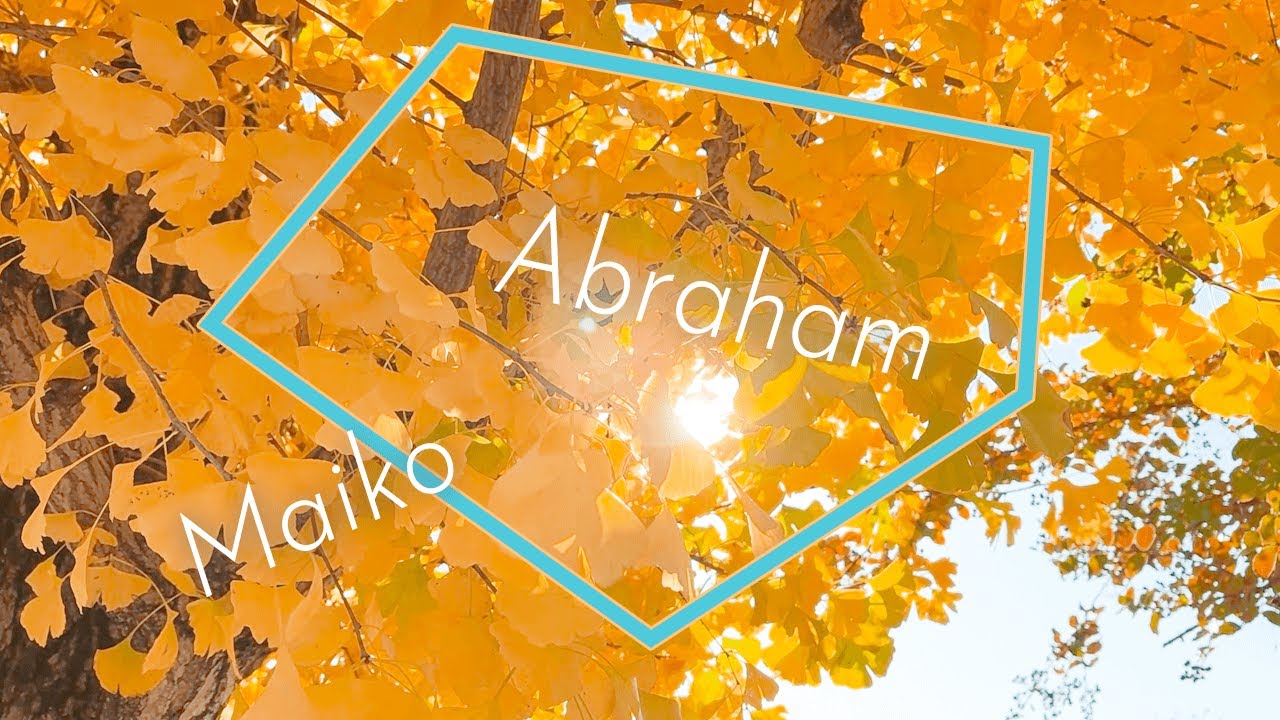 波動の反映を楽しむ【エイブラハムの教え】