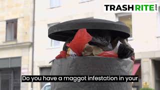 How to Get Rid of Maggots in Trash Cans: Effective Tips and Preventive Measures Keep Your Bins Clean Maggot Filled Trash Bin