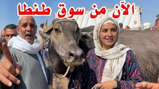 محدش بيسمع الكلام الفلاح حضر دلوقت الان من سوق طنطا التفاوض علي احسن شابه جاموس 