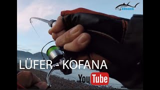 Lüfer İle Bol Bol Mücadele Ve Sonunda Balik Avi
