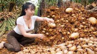 REWIND TIMALAPSE  -- Harvesting A Lot of Palm Weevil At The Farm Go To Countryside Market Sell
