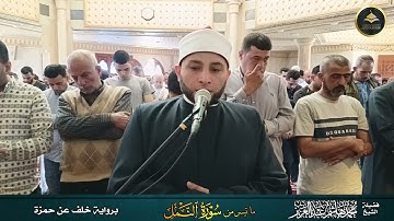 برواية خلف عن حمزة ما تيسر من سورة النمل