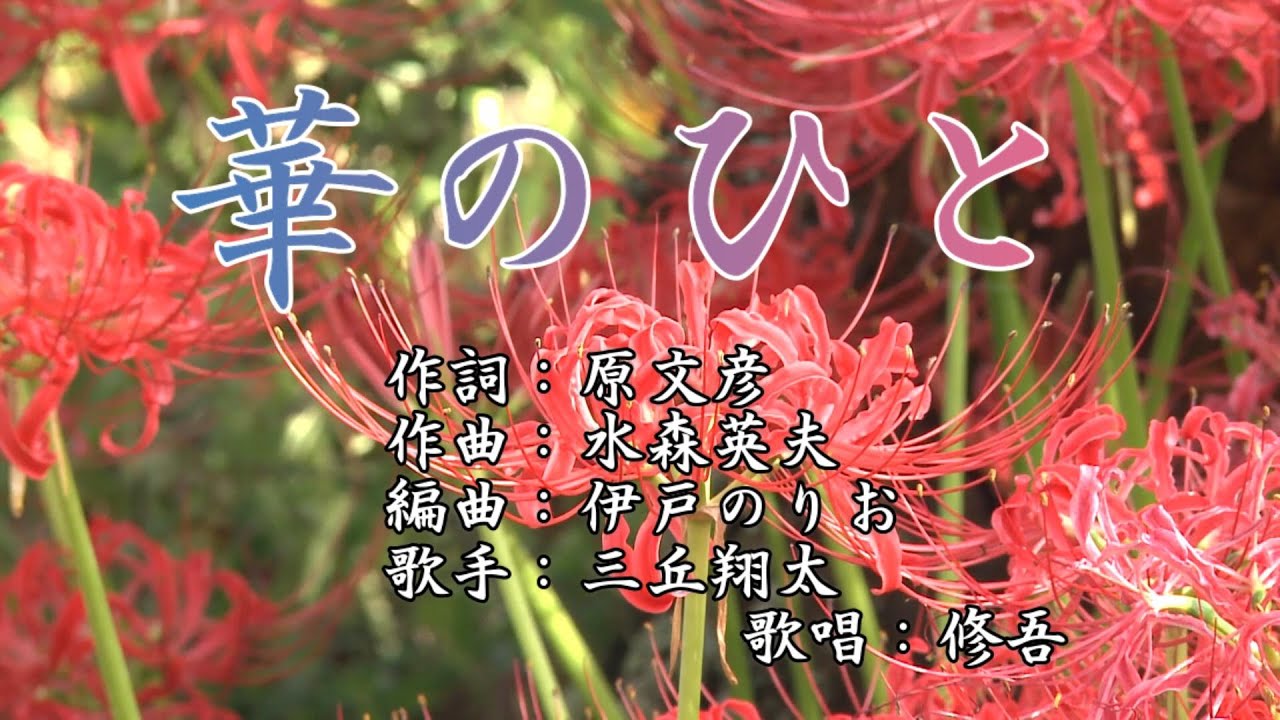 花の人 maxresdefault.jpg
