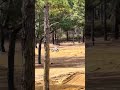 Georgia practice facility. Later in the day I broke my leg!!! 2 week training down the drain!!!