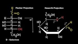 تحويل الجلوكوز من سلسله مفتوحه إلى حلقه., glucose from fisher to Haworth