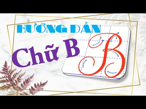 Video HƯỚNG DẪN VIẾT CHỮ HOA B - |KIẾN THỨC TIỂU HỌC| - youtube