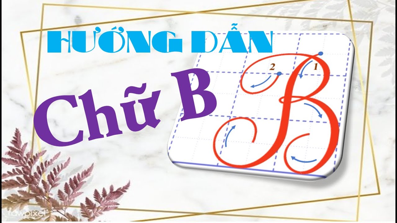 HƯỚNG DẪN VIẾT CHỮ HOA B - |KIẾN THỨC TIỂU HỌC| - YouTube