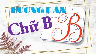 Hướng Dẫn Viết Chữ Hoa B - Kiến Thức Tiểu Học
